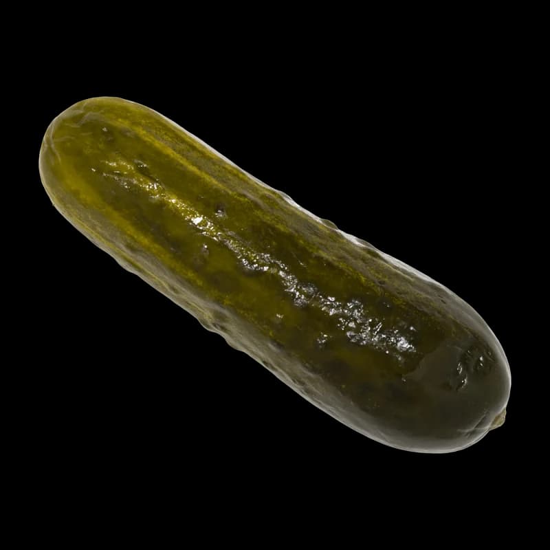 Jumbo Pickle from Yabba Dabba Dogs